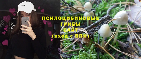 сатива Баксан