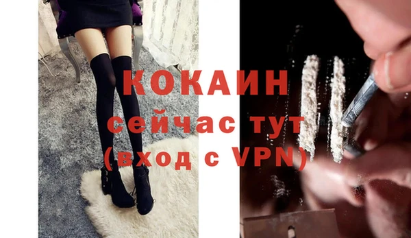 винт Балахна