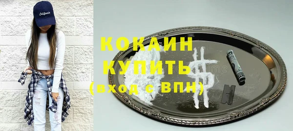 сатива Баксан