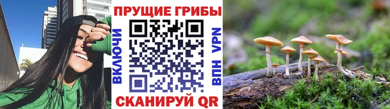Галлюциногенные грибы Cubensis  Белинский 