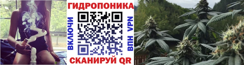 наркота  Белинский  Шишки марихуана сатива 